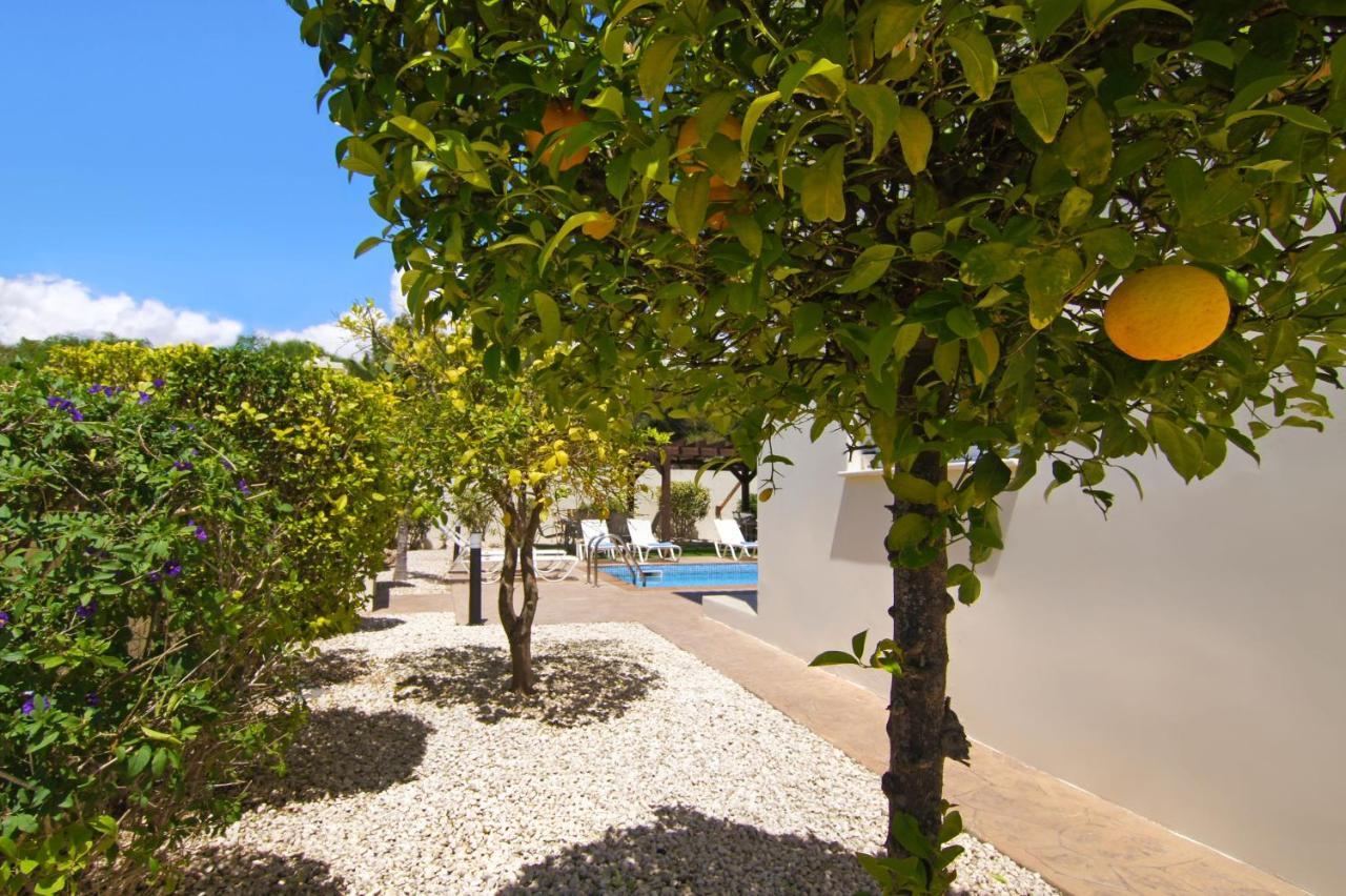 Nissi Adamite Villa Ayía Nápa Extérieur photo